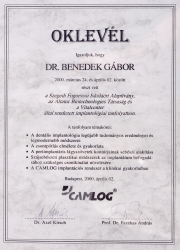 Dr.-Benedek-Gábor-oklevél_2000.04