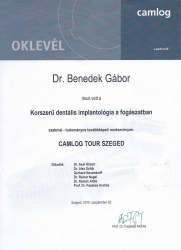 Dr.-Benedek-Gábor-oklevél_2010.09