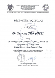 Dr.-Benedek-Gábor-oklevél_2011.02